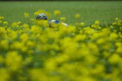 BoleroLegacyLeuven_tdebelle_191025_HRes_61