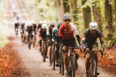 20261018-Legacy-Leuven_tdebelle_ScreeRes-188