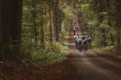 20261018-Legacy-Leuven_tdebelle_ScreeRes-193
